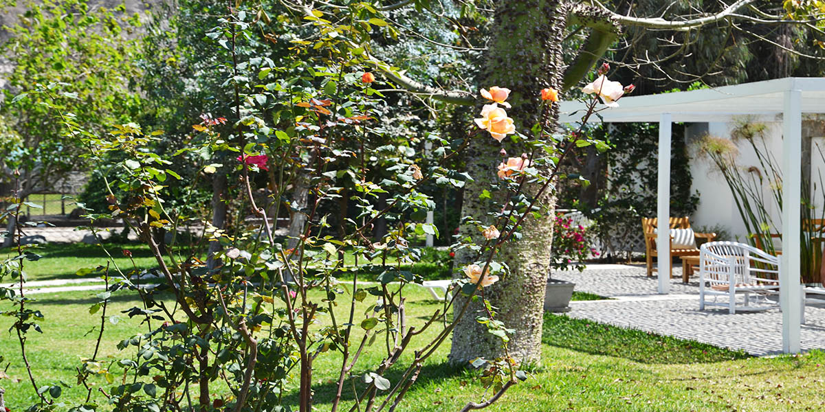 Suite Los Jardines